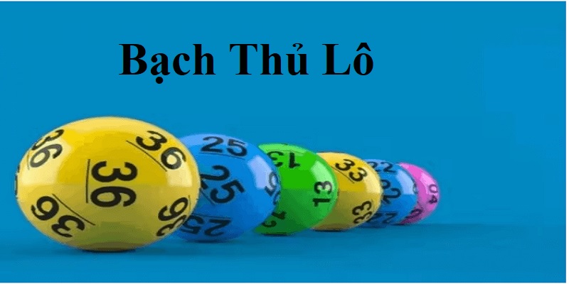 bạch thủ lô đặc biệt